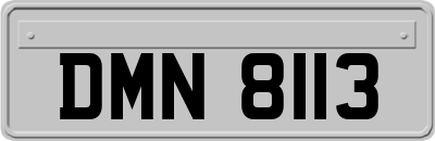 DMN8113