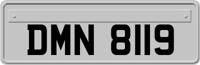 DMN8119