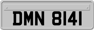 DMN8141