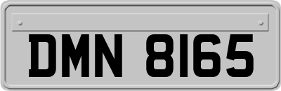 DMN8165