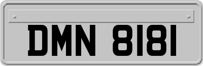 DMN8181