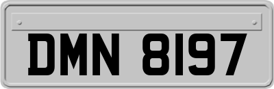 DMN8197