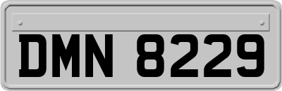 DMN8229