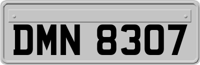 DMN8307