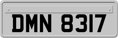 DMN8317