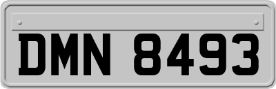 DMN8493