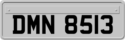 DMN8513