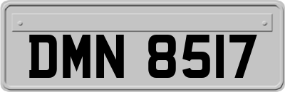 DMN8517