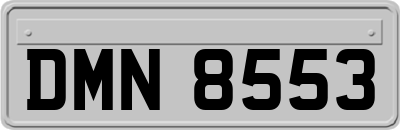 DMN8553