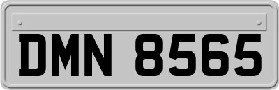 DMN8565