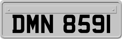 DMN8591