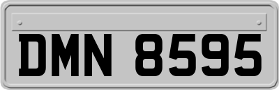 DMN8595