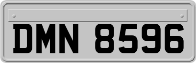 DMN8596