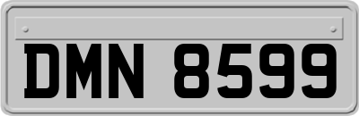 DMN8599