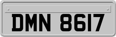 DMN8617