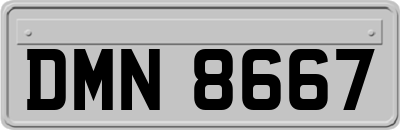DMN8667