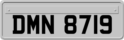 DMN8719