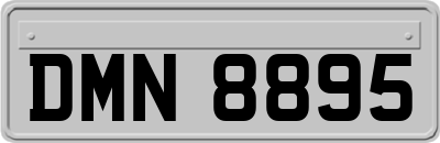 DMN8895