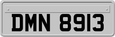 DMN8913