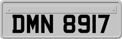 DMN8917