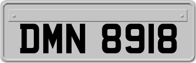 DMN8918