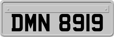 DMN8919