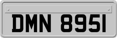 DMN8951