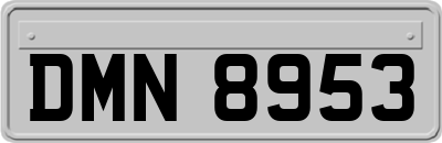 DMN8953