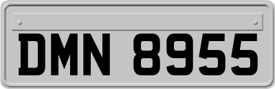 DMN8955