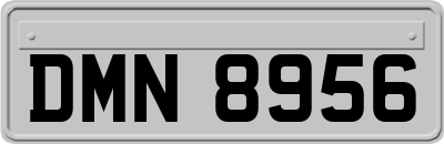 DMN8956