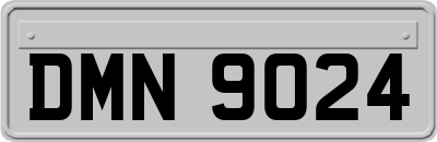 DMN9024