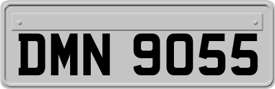 DMN9055