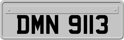 DMN9113