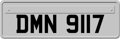 DMN9117