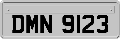 DMN9123