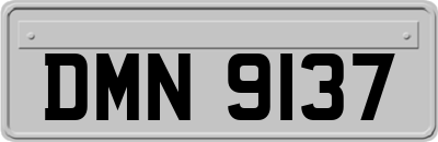DMN9137