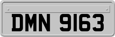 DMN9163