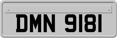 DMN9181