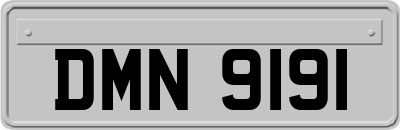 DMN9191
