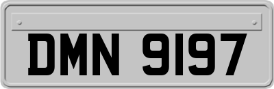 DMN9197