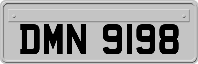 DMN9198
