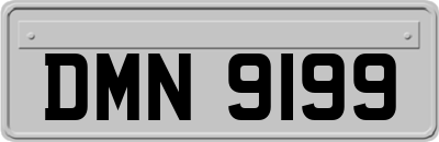 DMN9199