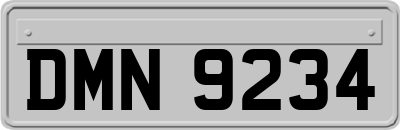 DMN9234