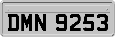 DMN9253