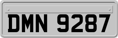 DMN9287