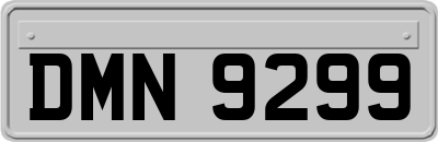 DMN9299