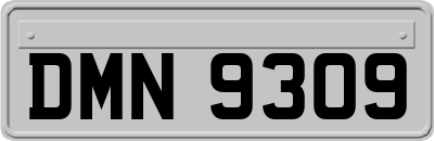DMN9309