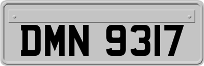 DMN9317