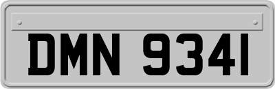 DMN9341