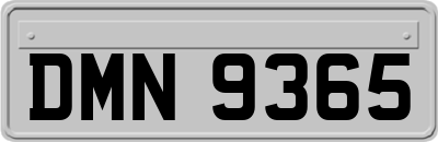 DMN9365